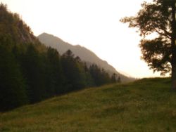 2013-07-20_Regina-F-Rau_Kochel-Rabenkopf (562).JPG